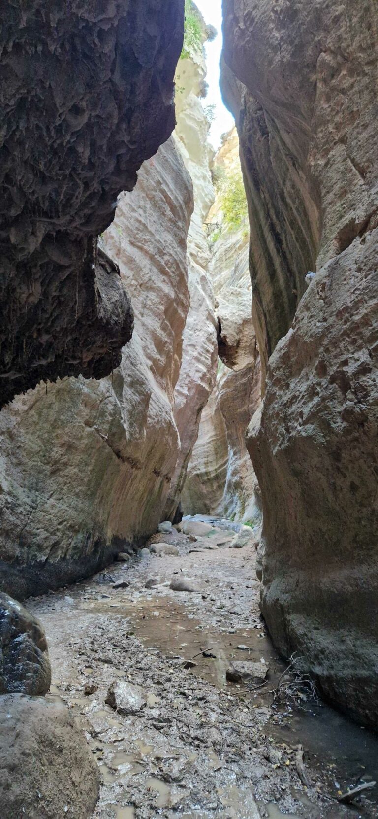 Avakas Gorge Nature Trail
